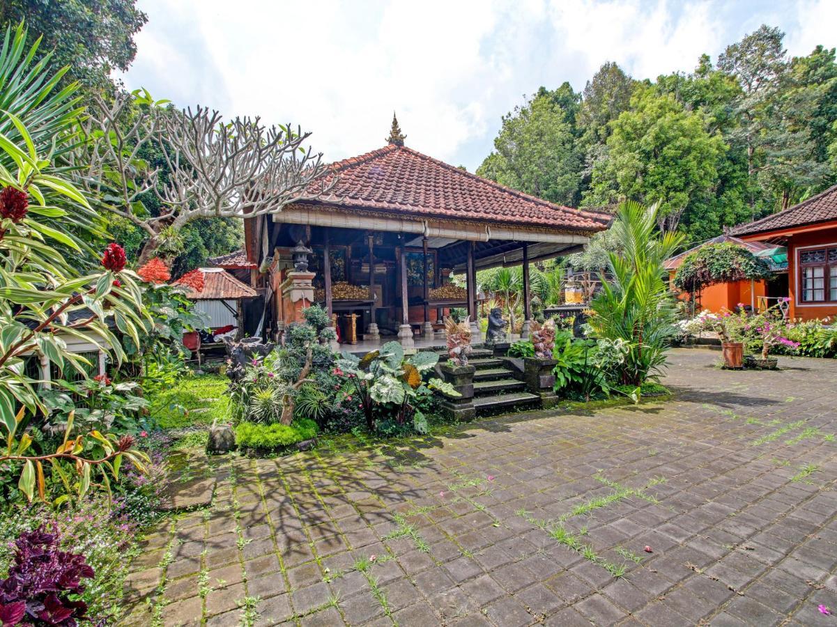 Oyo Homes 91091 Desa Wisata Umejero Munduk Extérieur photo