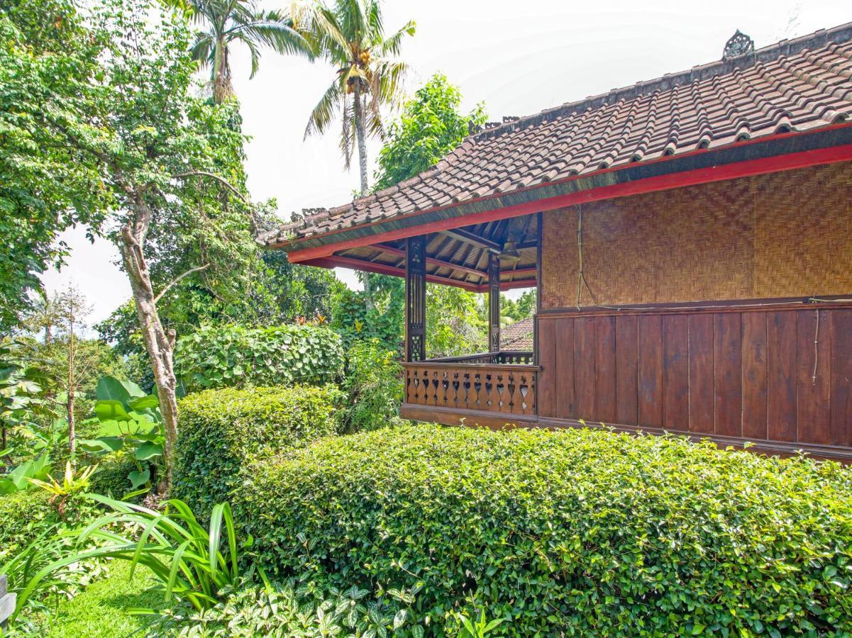 Oyo Homes 91091 Desa Wisata Umejero Munduk Extérieur photo