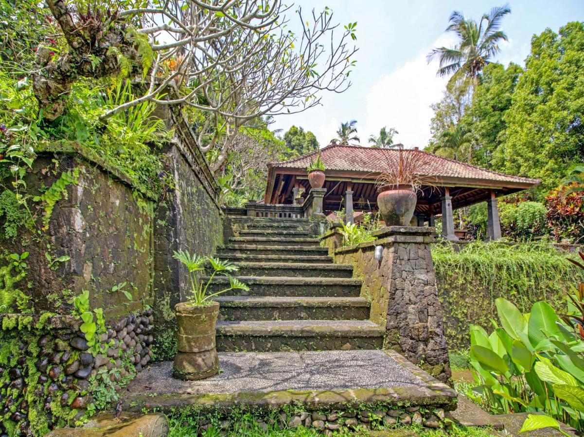Oyo Homes 91091 Desa Wisata Umejero Munduk Extérieur photo