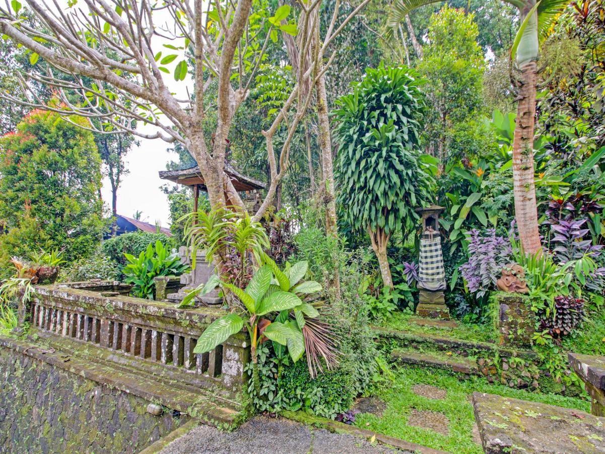 Oyo Homes 91091 Desa Wisata Umejero Munduk Extérieur photo