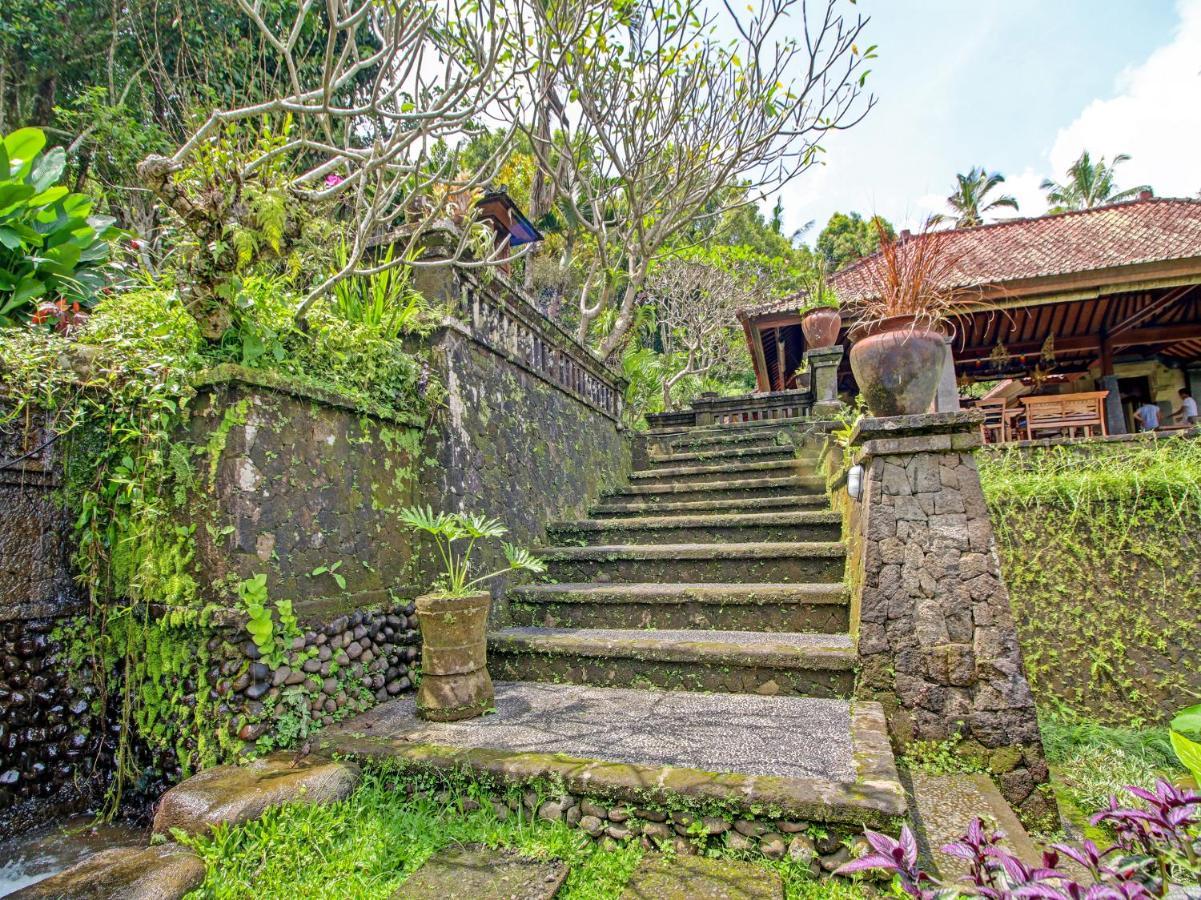 Oyo Homes 91091 Desa Wisata Umejero Munduk Extérieur photo