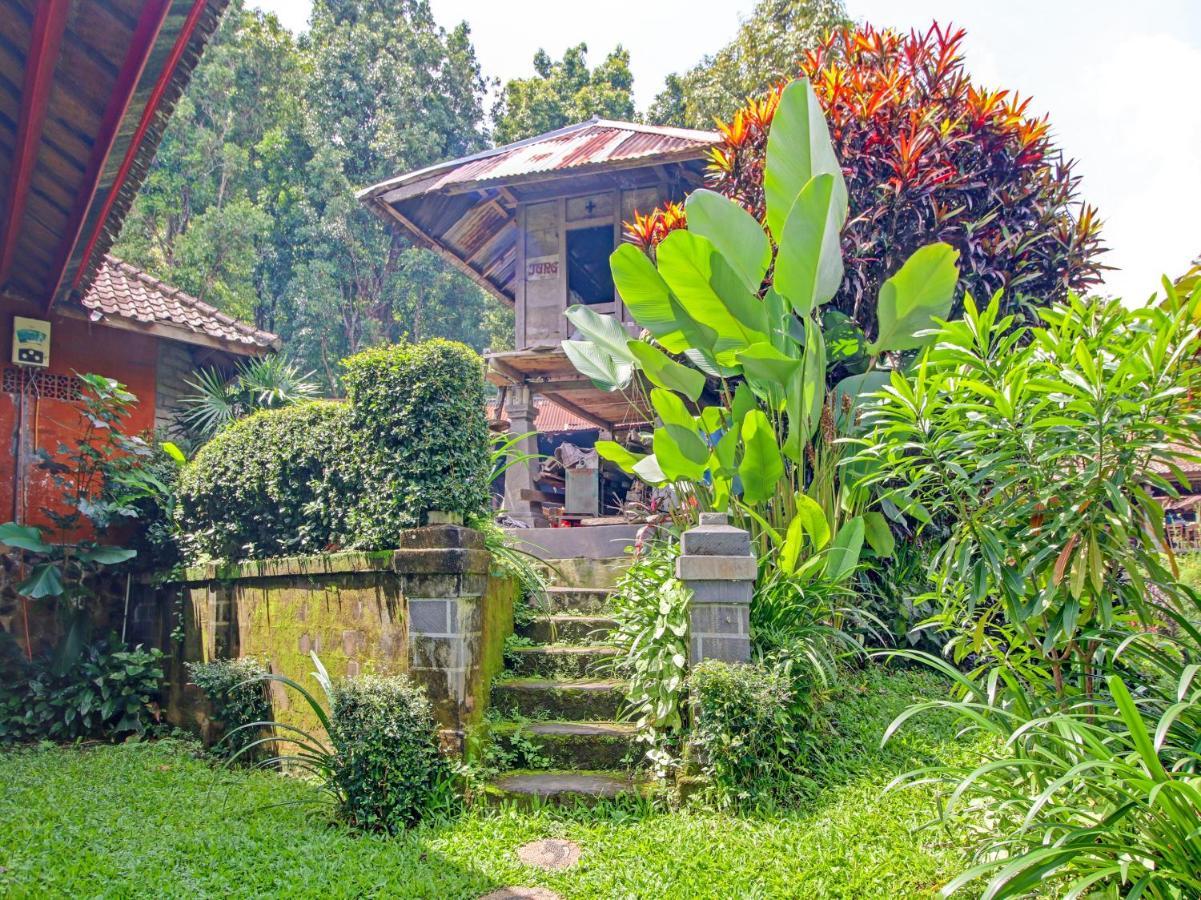 Oyo Homes 91091 Desa Wisata Umejero Munduk Extérieur photo