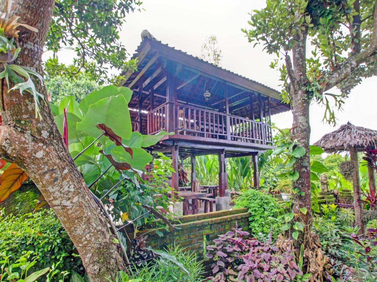 Oyo Homes 91091 Desa Wisata Umejero Munduk Extérieur photo